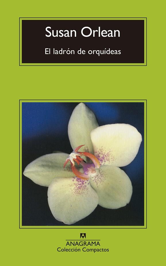 Ladrón de orquídeas, El | 9788433960429 | Orlean, Susan