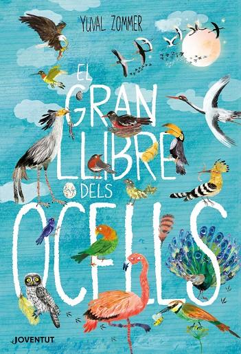 Gran llibre dels ocells, El | 9788426145840 | Zommer, Yuval