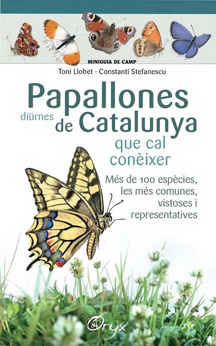 Papallones diürnes de Catalunya | 9788490346754 | Stefanescu, Constantí / Llobet François, Toni