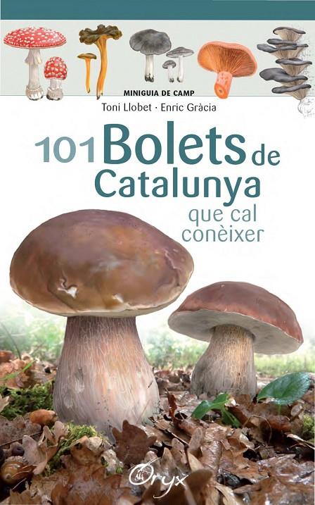 101 bolets de Catalunya que cal conèixer | 9788490347096 | Llobet François, Toni / Gràcia, Enric