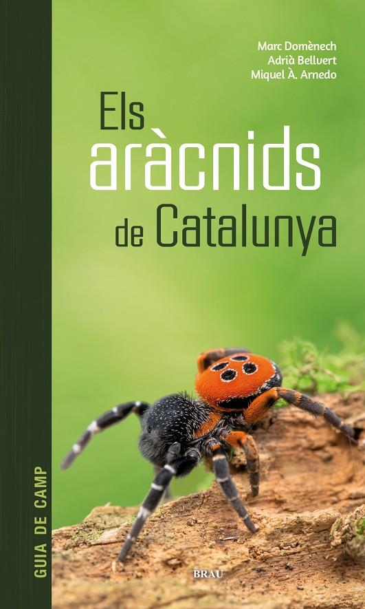 Aràcnids de Catalunya, Els | 9788418096686 | Domènech Andreu, Marc / Bellvert Bantí, Adrià / Arnedo Lombarte, Miquel Àngel