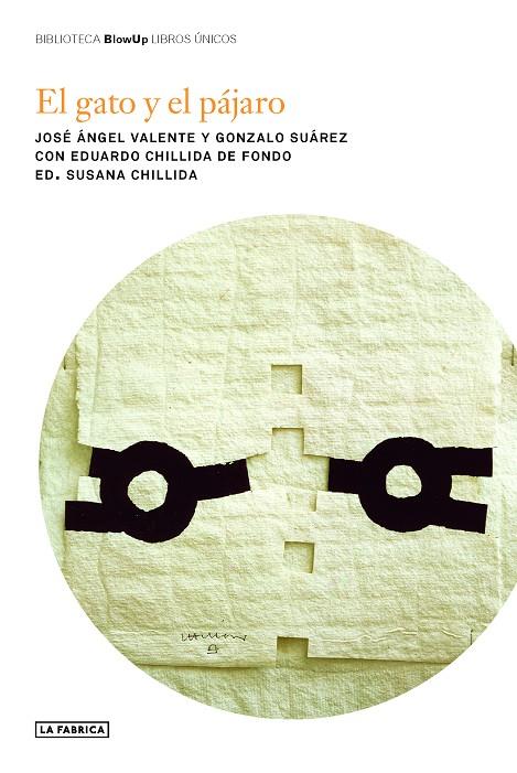 Gato y el pájaro, El | 9788418934919 | Chillida, Susana