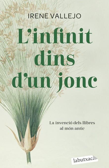 Infinit dins d'un jonc, L' | 9788419107121 | Vallejo, Irene