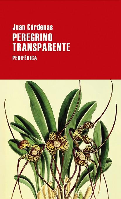 Peregrino transparente | 9788418838620 | Cárdenas, Juan