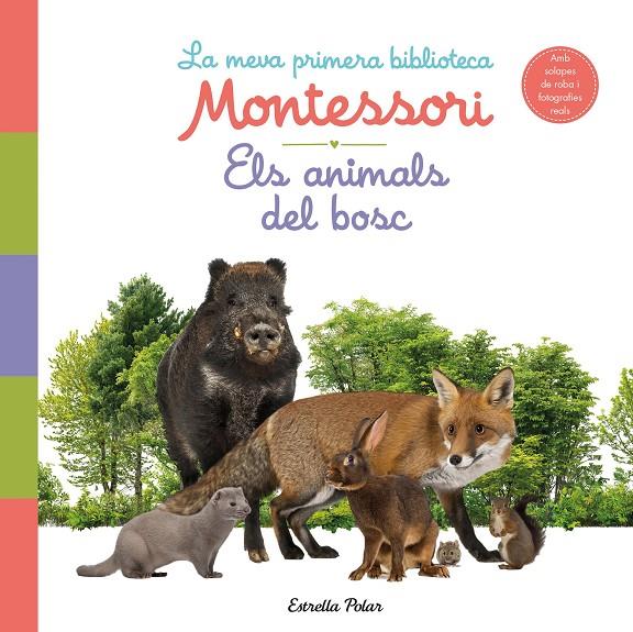 Animals del bosc, Els. La meva primera biblioteca Montessor | 9788413890159 | AA. VV.