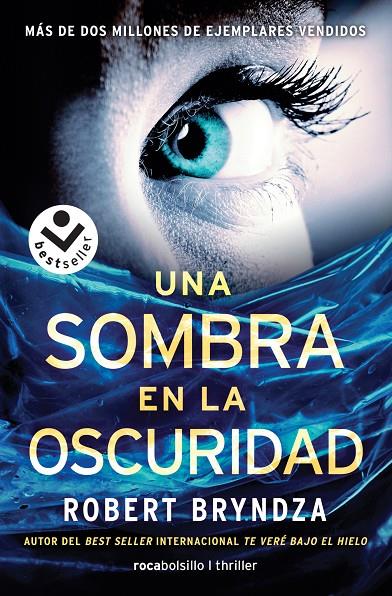 Serie Erika Foster 2 : Una sombra en la oscuridad | 9788416240845 | Bryndza, Robert