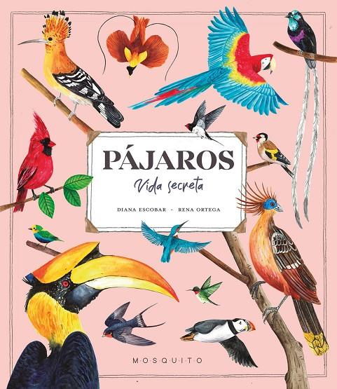 Pájaros : Vida secreta | 9788419095527 | Escobar, Diana