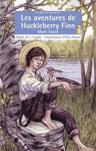 Aventures de Huckleberry Finn, Les | 9788490266045 | Twain, Mark