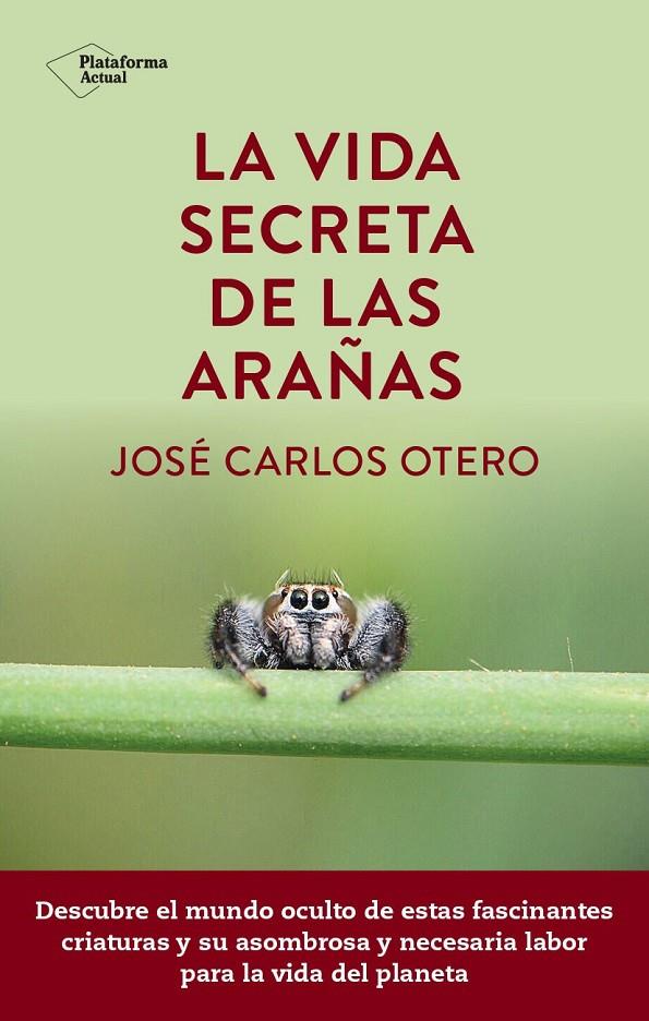 Vida secreta de las arañas, La | 9788419655189 | Otero, José Carlos