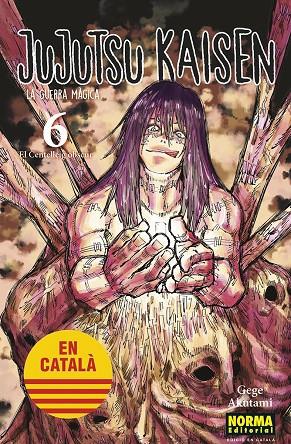 Jujutsu Kaisen 5 (Català) | 9788467957600 | Akutami, Gege