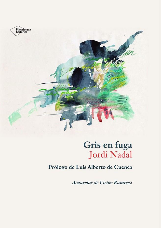 Gris en fuga | 9788410243897 | Nadal, Jordi