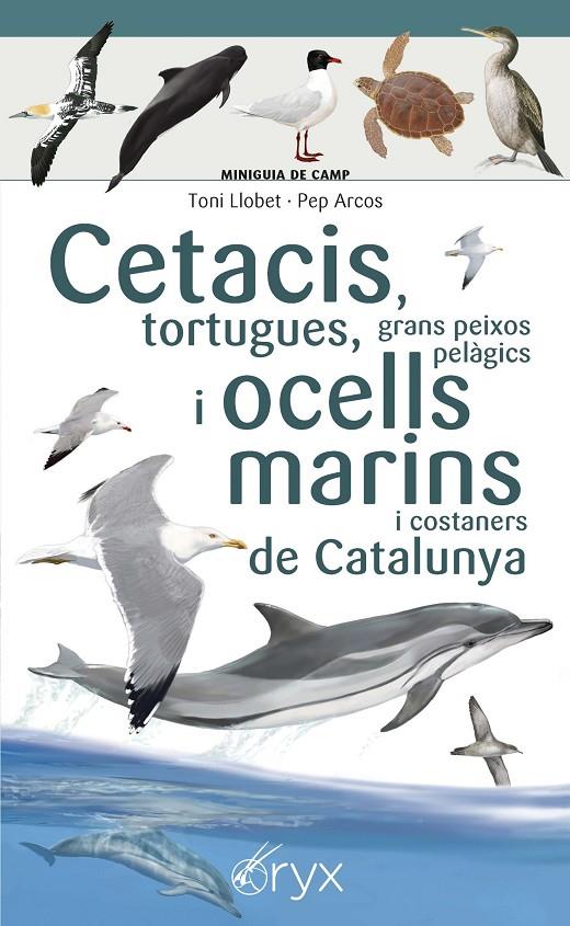 Cetacis, tortugues, grans peixos pelàgics i ocells marins de Catalunya | 9788490349441 | Arcos, Pep / Llobet François, Toni