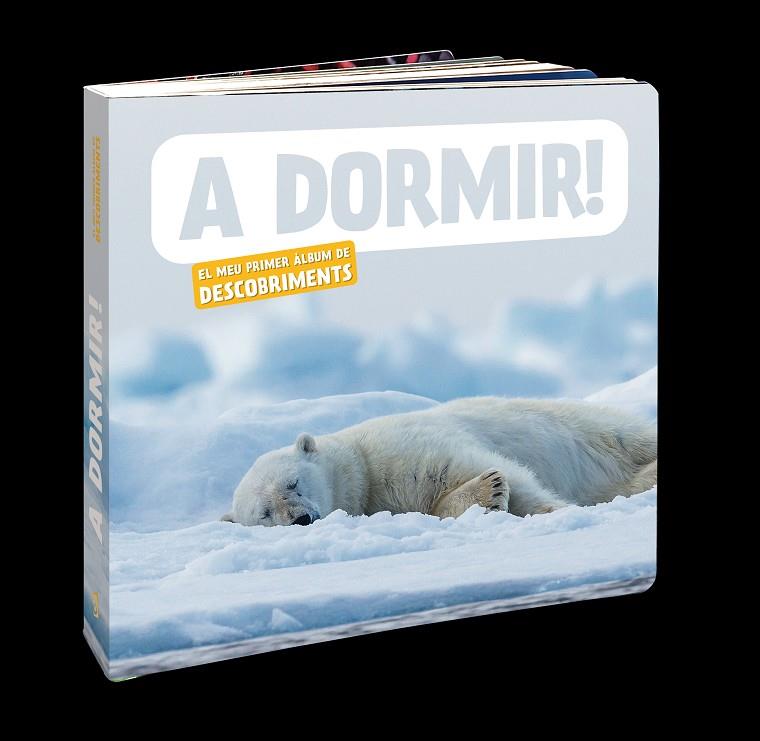 A dormir! | 9788418762697 | AA.DD.