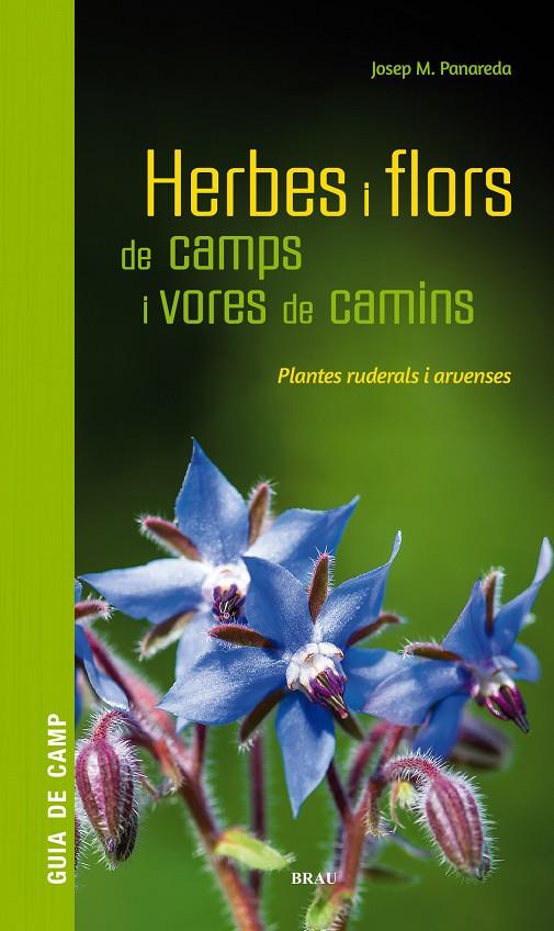 Herbes i flors de camps i vores de camins | 9788418096082 | Panareda Clopés, Josep M