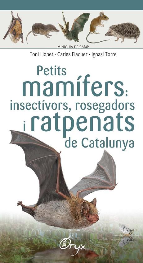 Petits mamífers : Insectívors, rosegadors i ratpenats de Catalunya | 9788490348956 | Flaquer, Carles / Torre, Ignasi / Llobet François, Toni