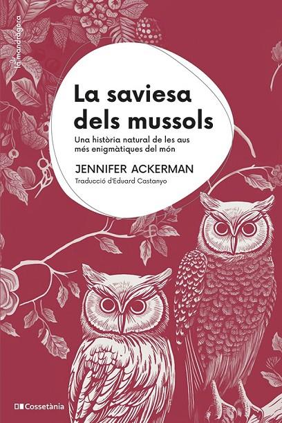 Saviesa dels mussols, La | 9788413563558 | Ackerman, Jennifer