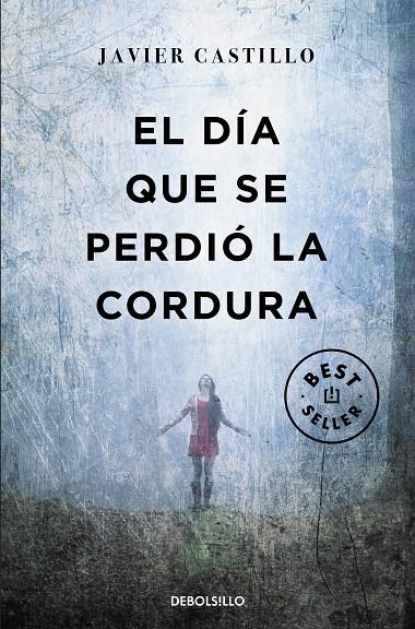 Día que se perdió la cordura, El | 9788466346122 | Castillo, Javier