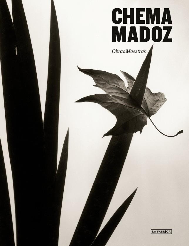 Chema Madoz : Obras maestras | 9788418934353 | Madoz, Chema