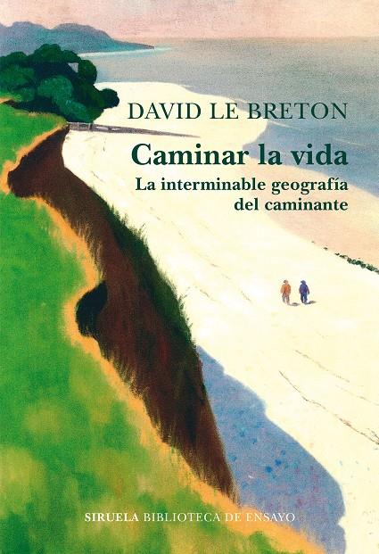 Caminar la vida | 9788418859809 | Breton, David Le