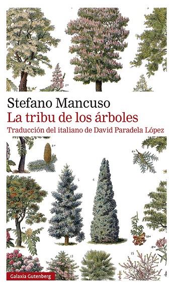 Tribu de los árboles, La | 9788419392510 | Mancuso, Stefano