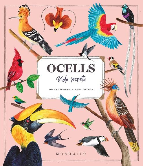 Ocells : Vida Secreta | 9788419095534 | Esteban, Diana