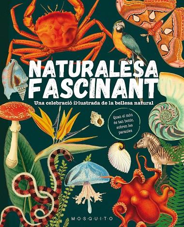 Naturalesa fascinant | 9788419095596 | AA.DD.