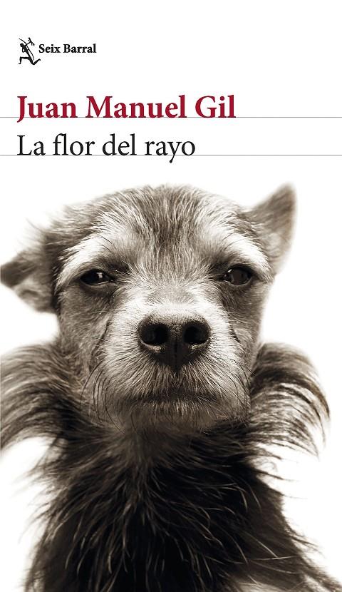 Flor del rayo, La | 9788432241574 | Gil, Juan Manuel