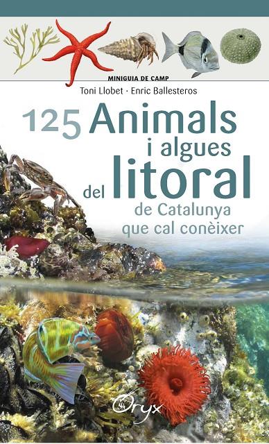 125 animals i algues del litoral de Catalunya | 9788490347416 | Ballesteros Sagarra, Enric / Llobet François, Toni