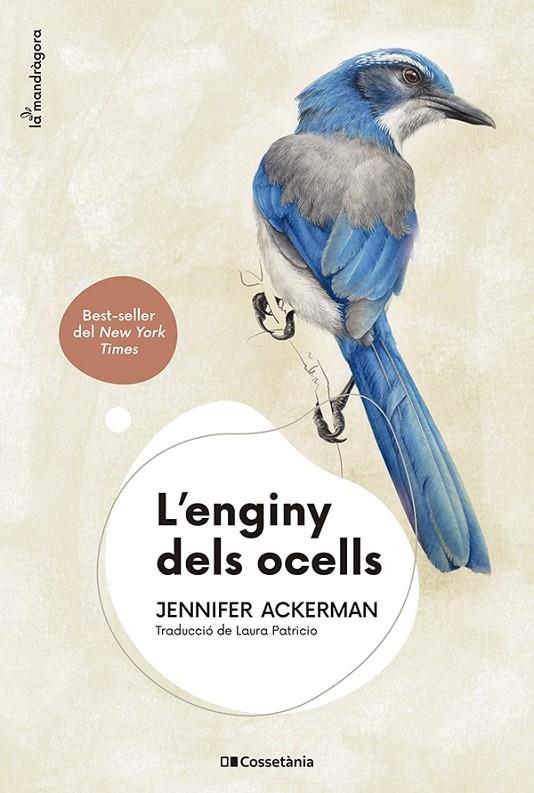 Enginy dels ocells, L' | 9788413562544 | Ackerman, Jennifer