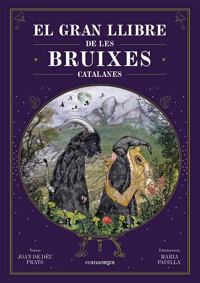 Gran llibre de les bruixes catalanes, El | 9788418857751 | Prats, Joan de Déu / Padilla Climent, Maria